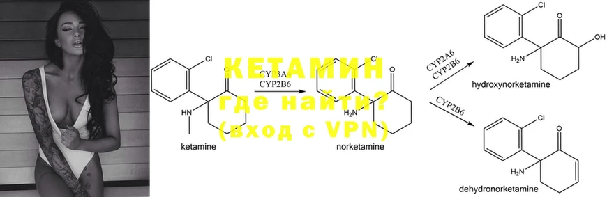 blacksprut ССЫЛКА  darknet формула  Кетамин ketamine  Светлогорск 